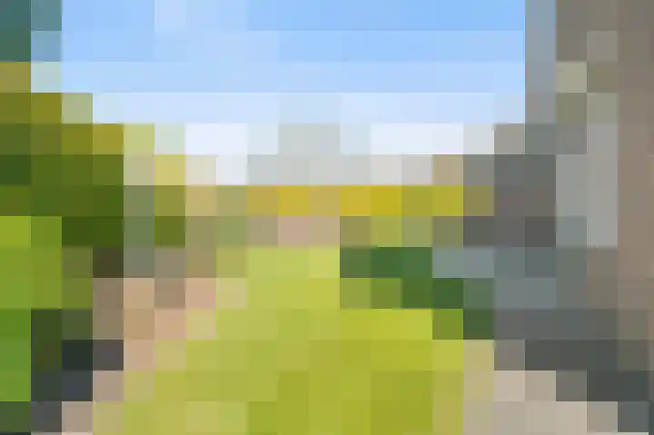 Westerkamp 10 Deventer thumbnail 41