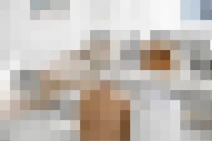 Westerkamp 10 Deventer thumbnail 6