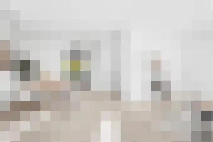 Westerkamp 10 Deventer thumbnail 8