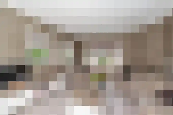 Westerkamp 18 Sellingen thumbnail 12