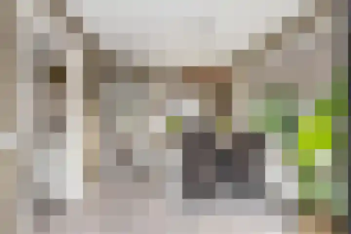 Westerkamp 18 Sellingen thumbnail 14