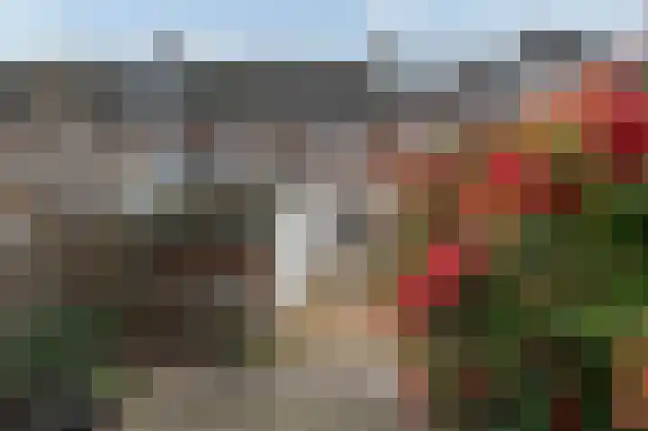 Westerkamp 18 Sellingen thumbnail 15