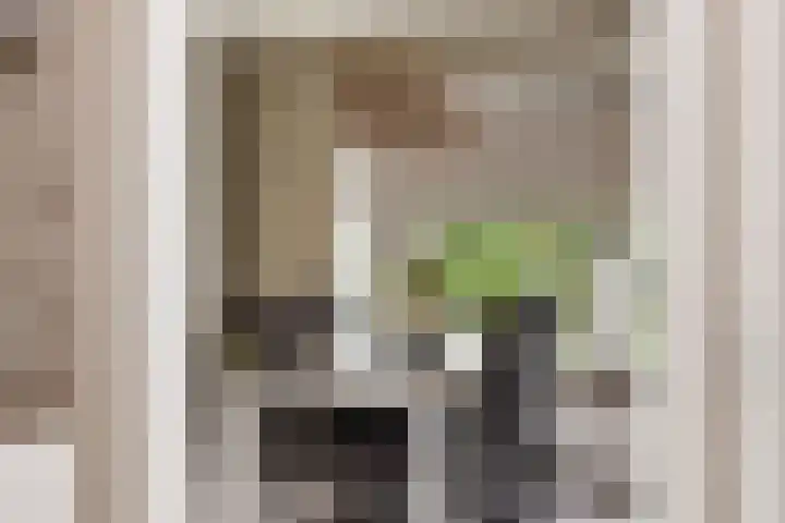 Westerkamp 18 Sellingen thumbnail 18