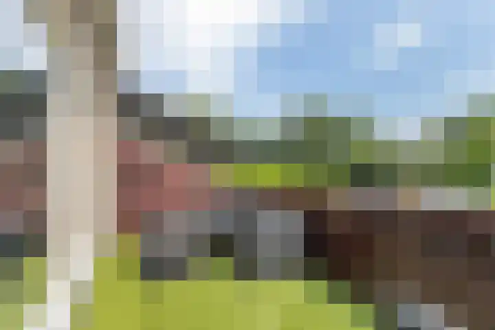 Westerkamp 18 Sellingen thumbnail 36
