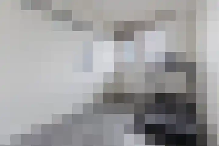 Westerkamp 18 Sellingen thumbnail 41