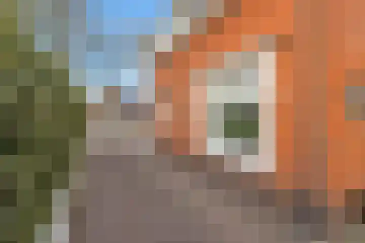 Westerkamp 18 Sellingen thumbnail 50