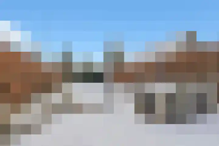 Westerkamp 18 Sellingen thumbnail 54