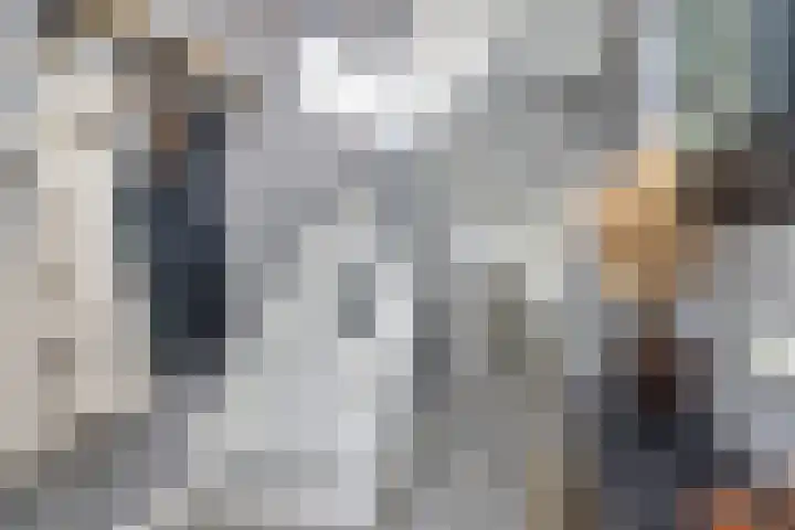 Westerkamp 18 Sellingen thumbnail 7