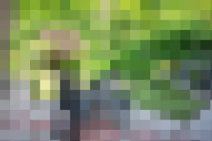 Westerkimme 28 Marknesse thumbnail 10