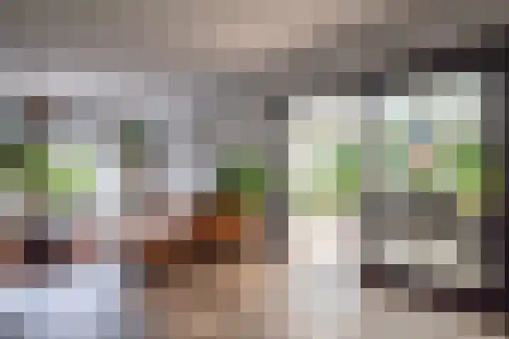 Westerkimme 28 Marknesse thumbnail 15