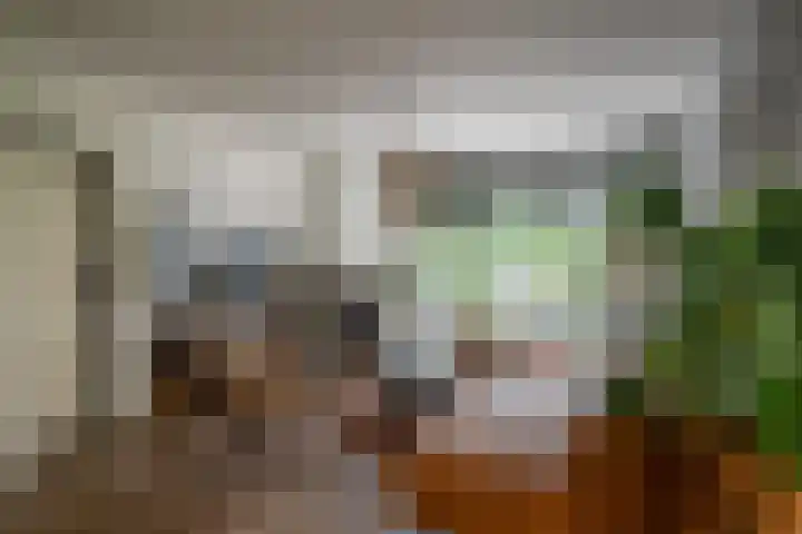 Westerkimme 28 Marknesse thumbnail 16