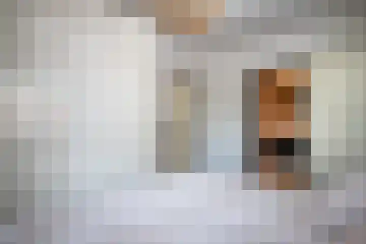 Westerkimme 28 Marknesse thumbnail 18