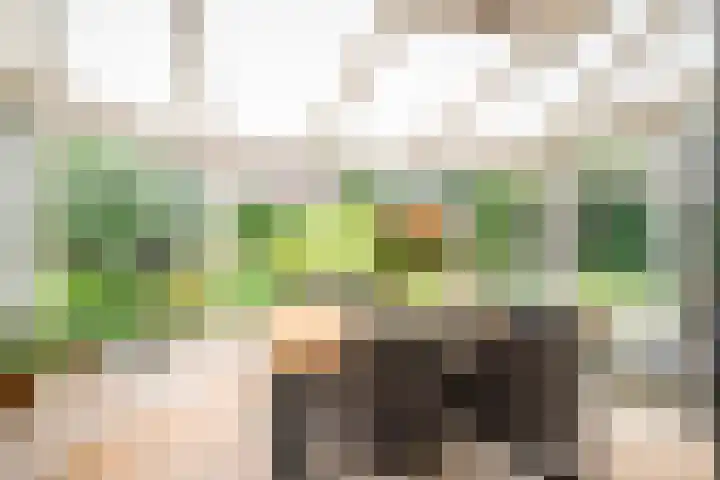 Westerkimme 28 Marknesse thumbnail 25