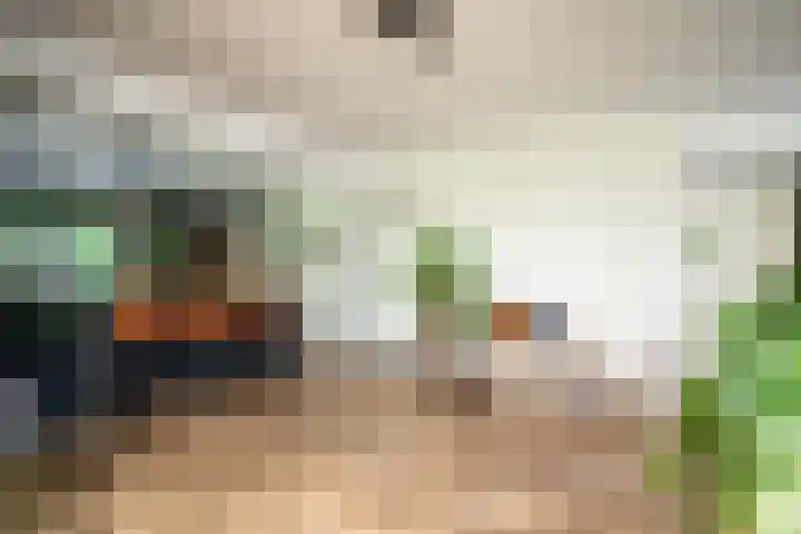 Westerkimme 28 Marknesse thumbnail 26