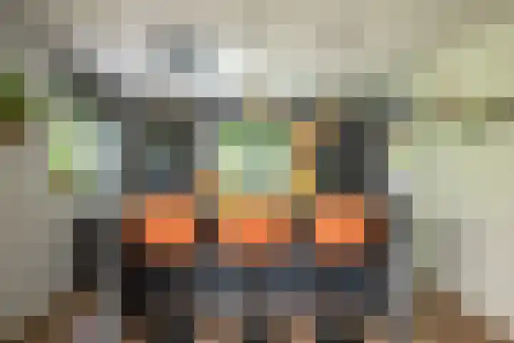 Westerkimme 28 Marknesse thumbnail 28