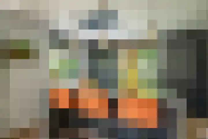 Westerkimme 28 Marknesse thumbnail 29