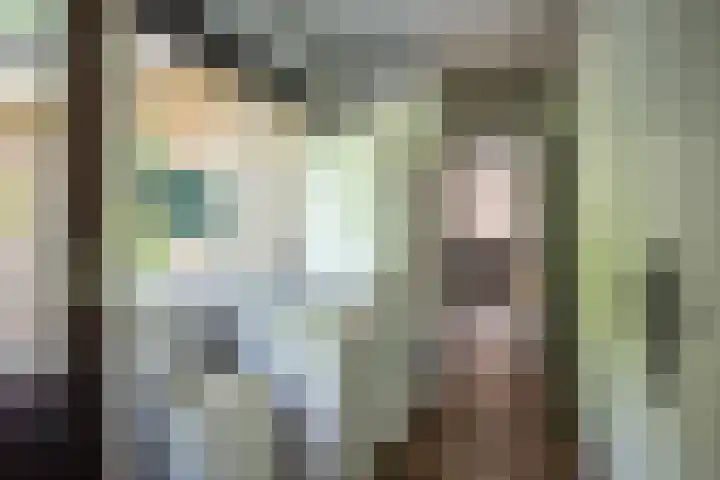 Westerkimme 28 Marknesse thumbnail 31