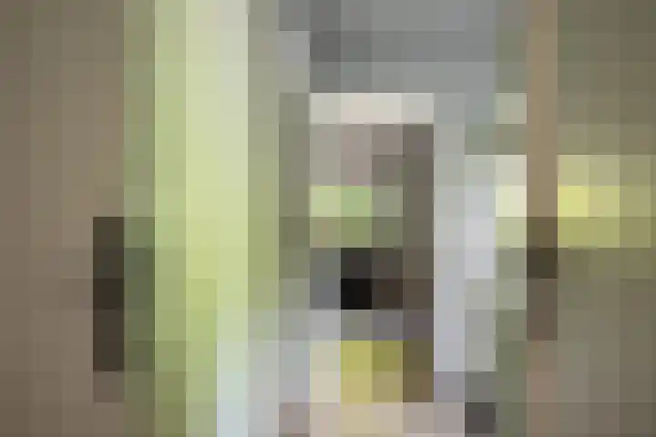 Westerkimme 28 Marknesse thumbnail 37
