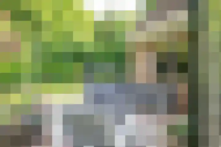 Westerkimme 28 Marknesse thumbnail 4