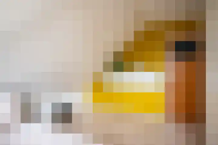 Westerkimme 28 Marknesse thumbnail 46