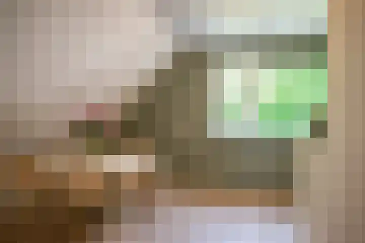 Westerkimme 28 Marknesse thumbnail 49