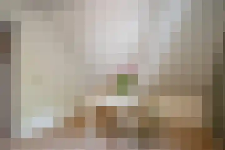 Westerkimme 28 Marknesse thumbnail 50