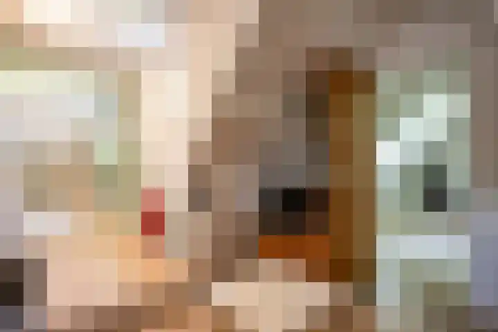 Westerkimme 28 Marknesse thumbnail 53