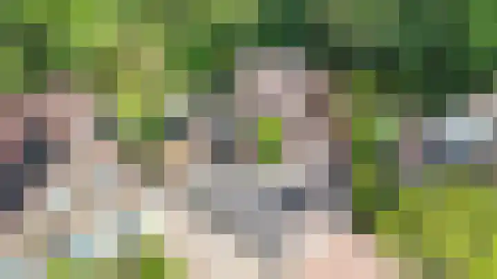 Westerkimme 28 Marknesse thumbnail 58