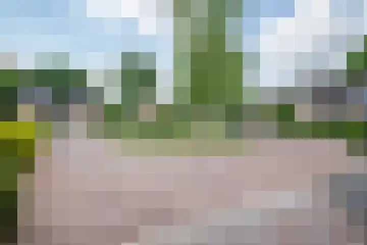 Westerkimme 28 Marknesse thumbnail 60