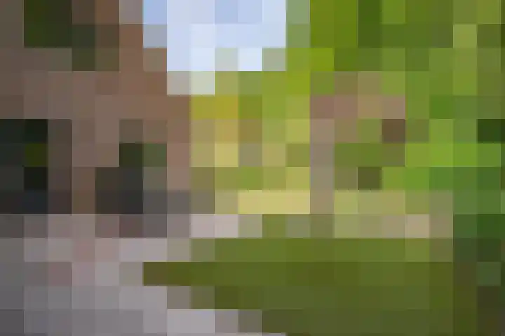Westerkimme 28 Marknesse thumbnail 9