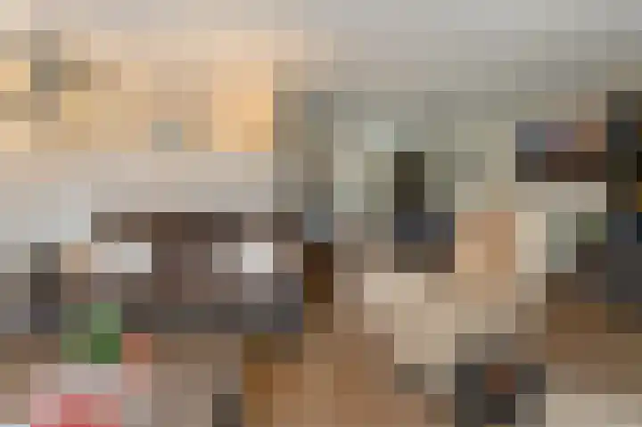 Westerkwartier 7 Emmeloord thumbnail 12