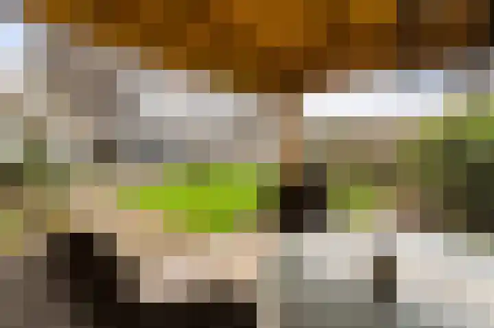 Westerkwartier 7 Emmeloord thumbnail 28