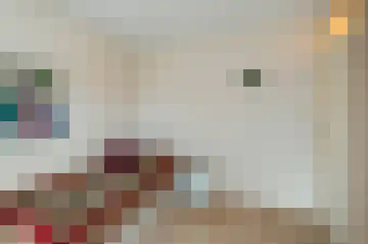Westerkwartier 7 Emmeloord thumbnail 35