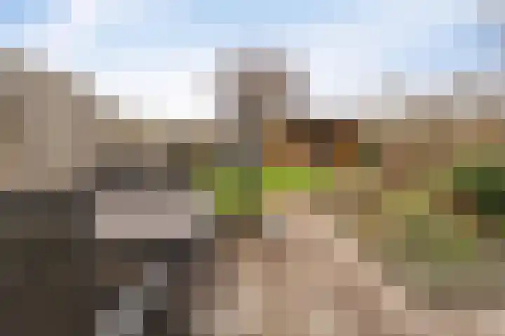 Westerkwartier 7 Emmeloord thumbnail 4
