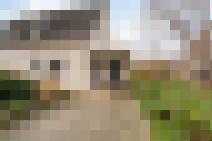 Westerkwartier 7 Emmeloord thumbnail 5