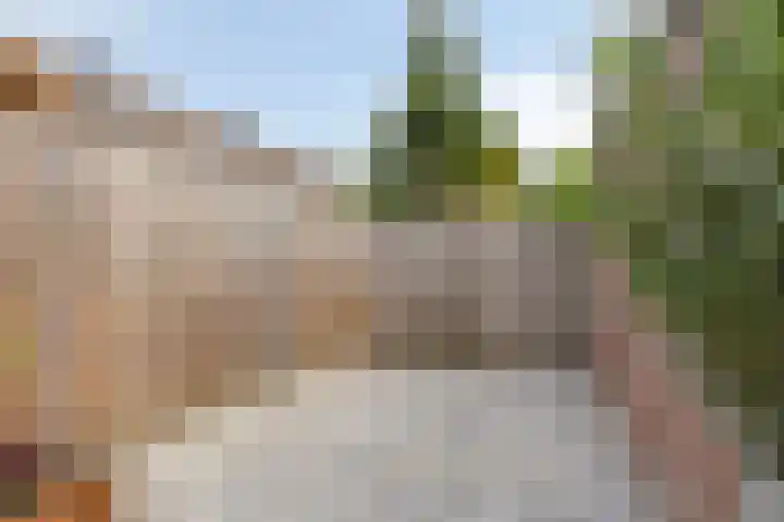 Westerkwartier 8 's-Hertogenbosch thumbnail 24