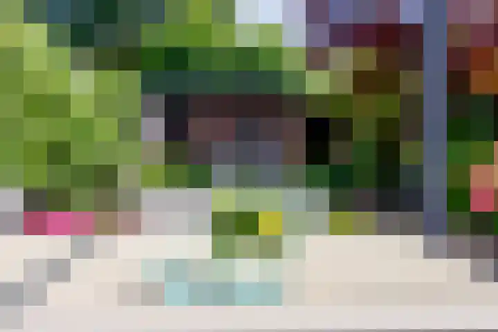 Westerlaan 18 De Bilt thumbnail 29