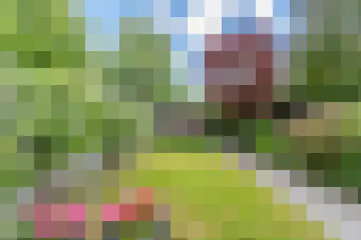 Westerlaan 18 De Bilt thumbnail 32