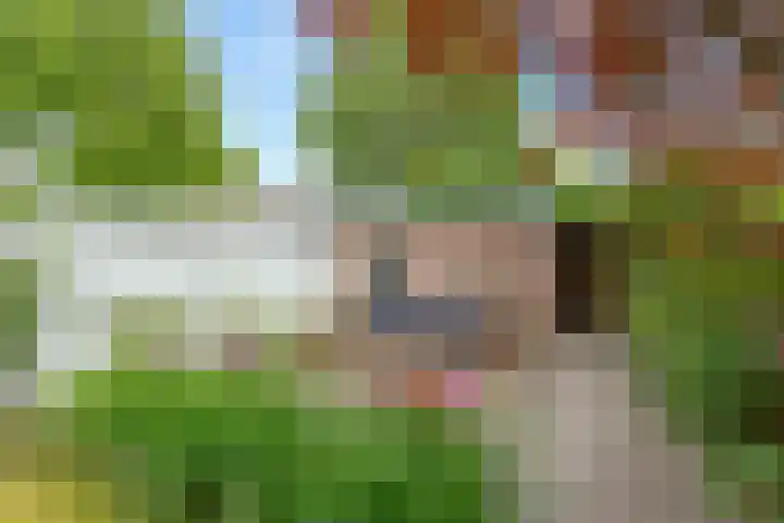 Westerlaan 18 De Bilt thumbnail 33