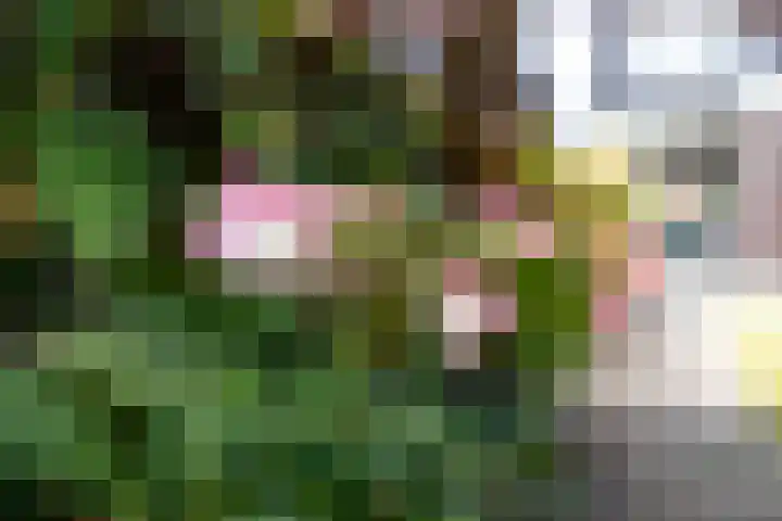 Westerlaan 18 De Bilt thumbnail 35