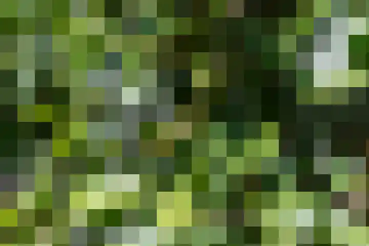 Westerlaan 18 De Bilt thumbnail 36