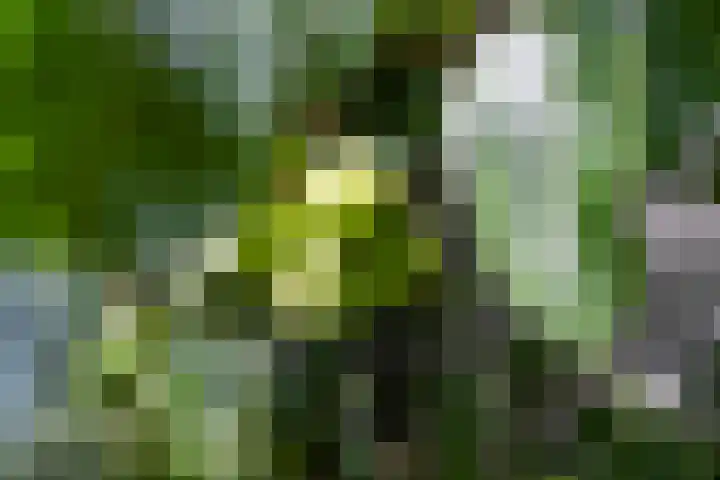 Westerlaan 18 De Bilt thumbnail 37