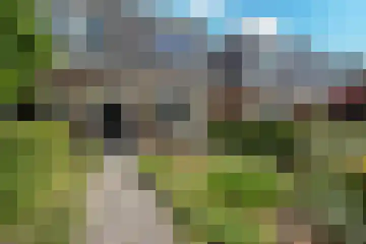 Westerlaan 18 De Bilt thumbnail 39