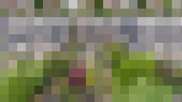 Westerlaan 18 De Bilt thumbnail 42