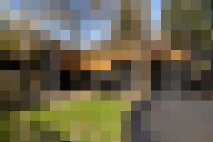 Westerlaan 32 Nunspeet thumbnail 14