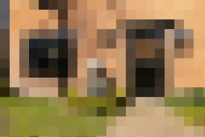 Westerlaan 32 Nunspeet thumbnail 18