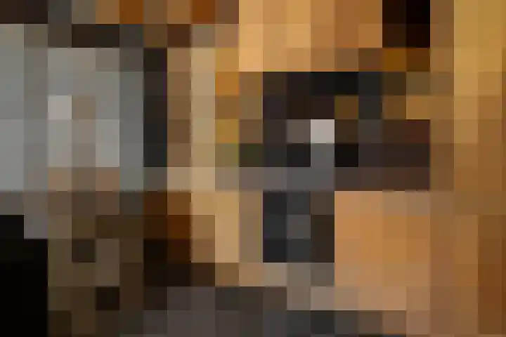 Westerlaan 32 Nunspeet thumbnail 25
