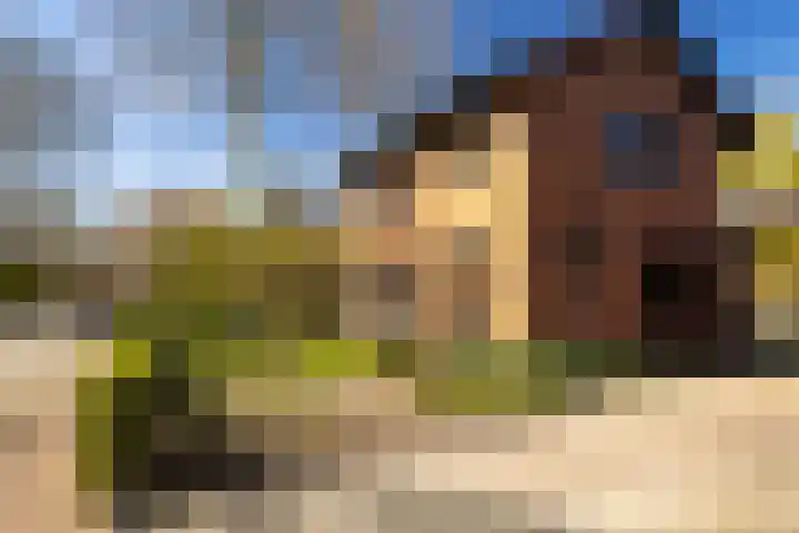 Westerlaan 32 Nunspeet thumbnail 6