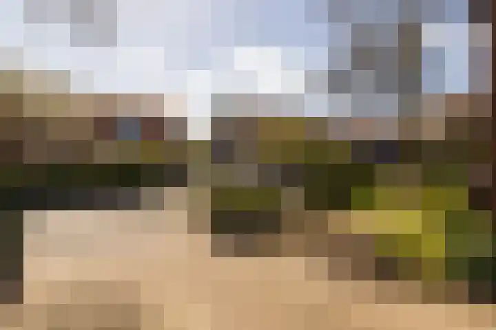 Westerlaan 32 Nunspeet thumbnail 7