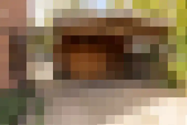Westerlaan 32 Nunspeet thumbnail 8